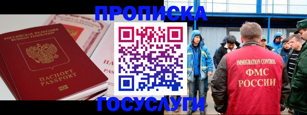 временная регистрация поиск в Камчатской области